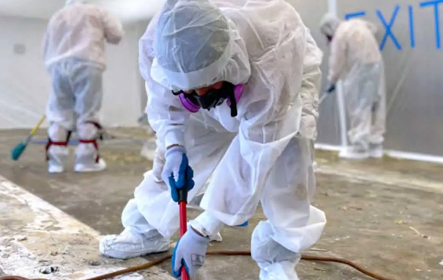 House-Asbestos Removal Services